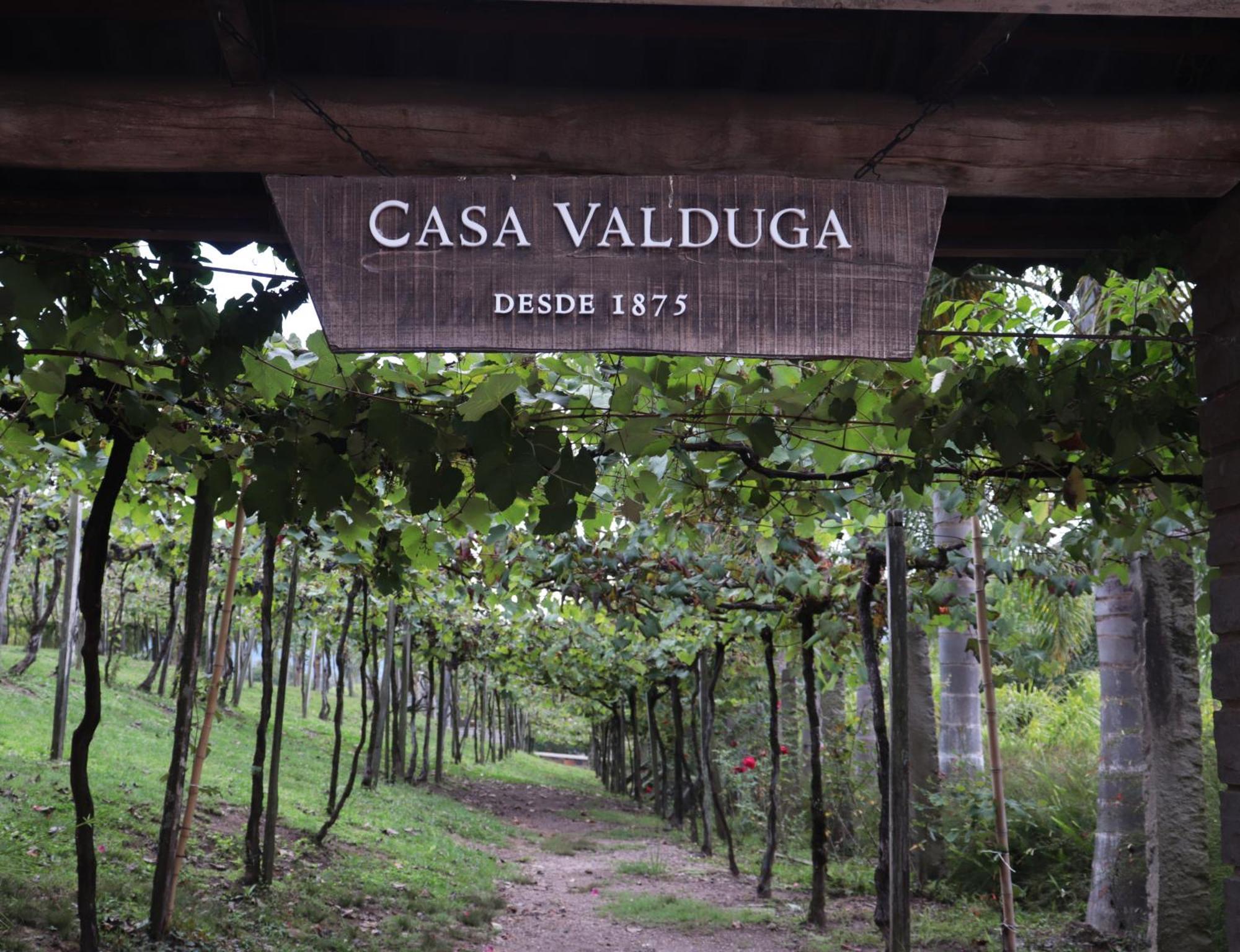 Casa Valduga Pousada Boutique Bento Goncalves Ngoại thất bức ảnh